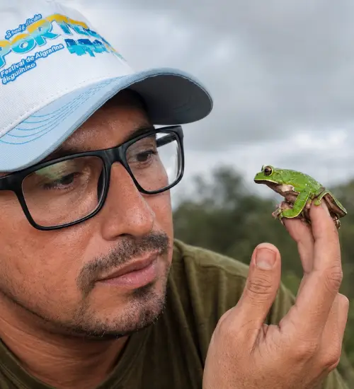 Olhar Científico e Ecológico