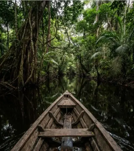 Passeio de bote em Caxiuanã